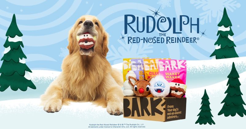 Tough Toys Delivered   Every Month