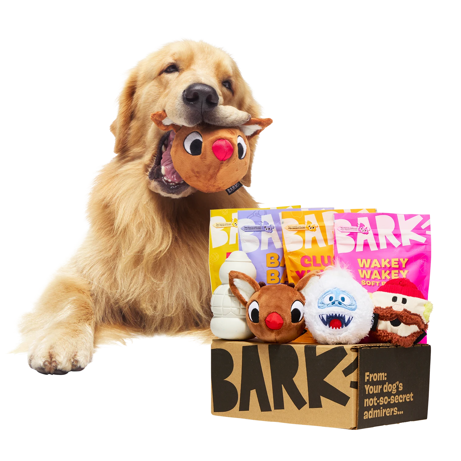 Don’t Bumble This Free Offer