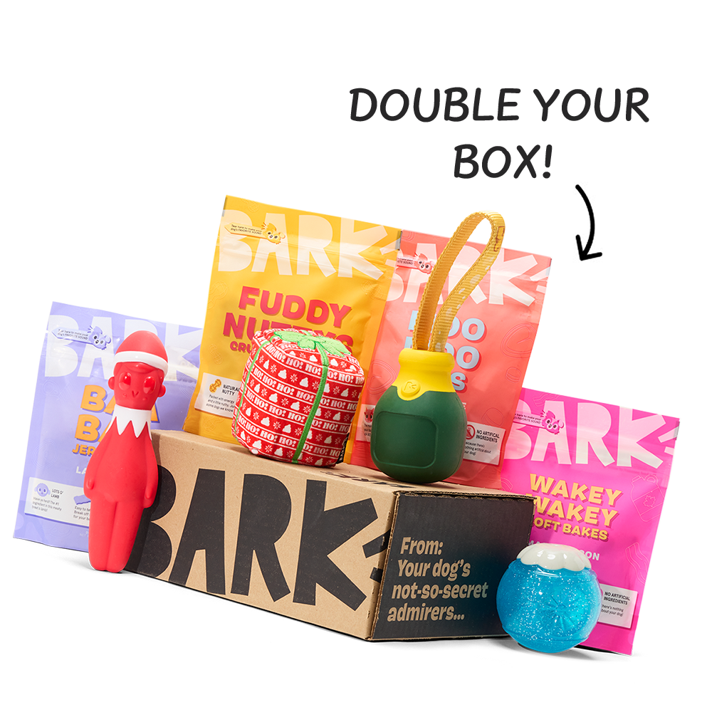 Super Chewer 6 Month Subscription - Double Deluxe First Box