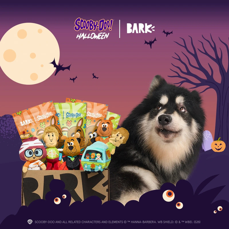 Dog Joy Delivered Every Month