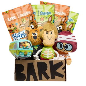 Box of dog treats and snacks labeled 'BARK.'