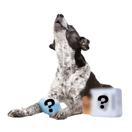 Tana - Secret Monster Club