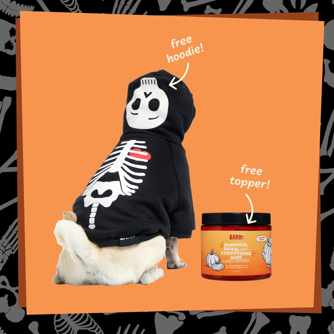 Skeleton Hoodie & Pumpkin Spice Meal Topper