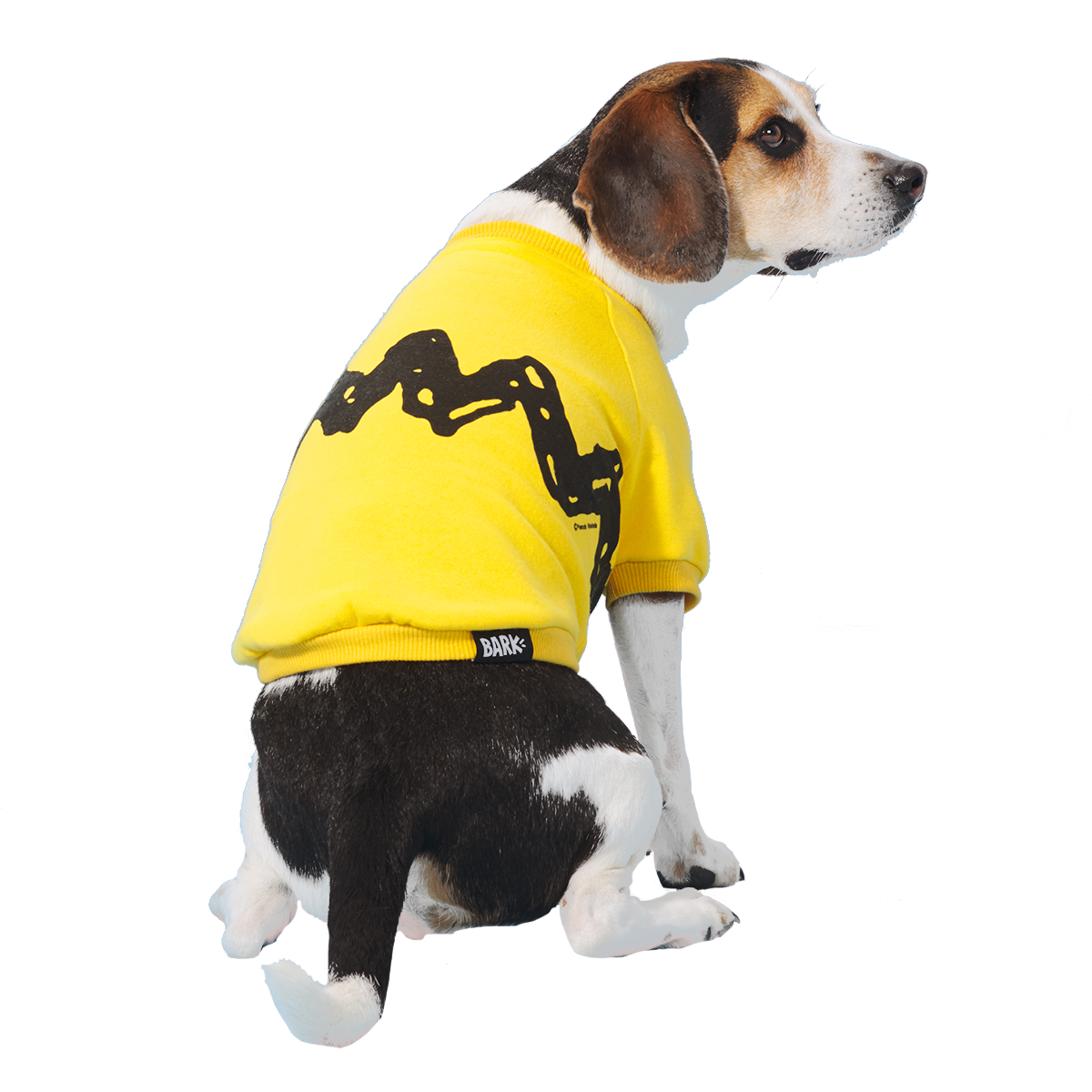 Peanuts Dog Sweatshirt
