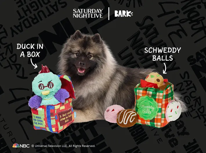 Dog Joy Delivered Every Month