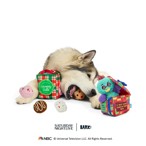 Free SNL Toy with First Box