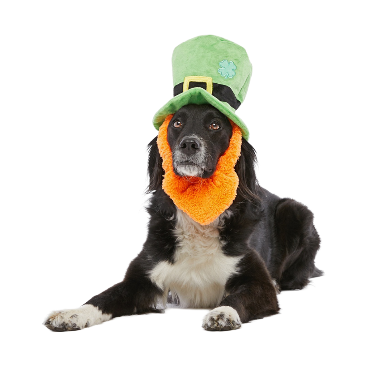 St. Pup's Lucky Hat Plush Wearable Tug Dog Toy