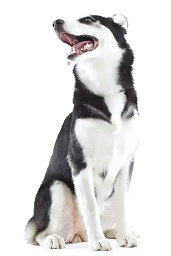 Tell us about your best bud.