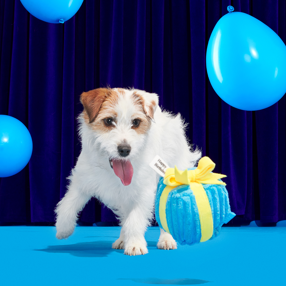 Throw A Party Present#Size_S