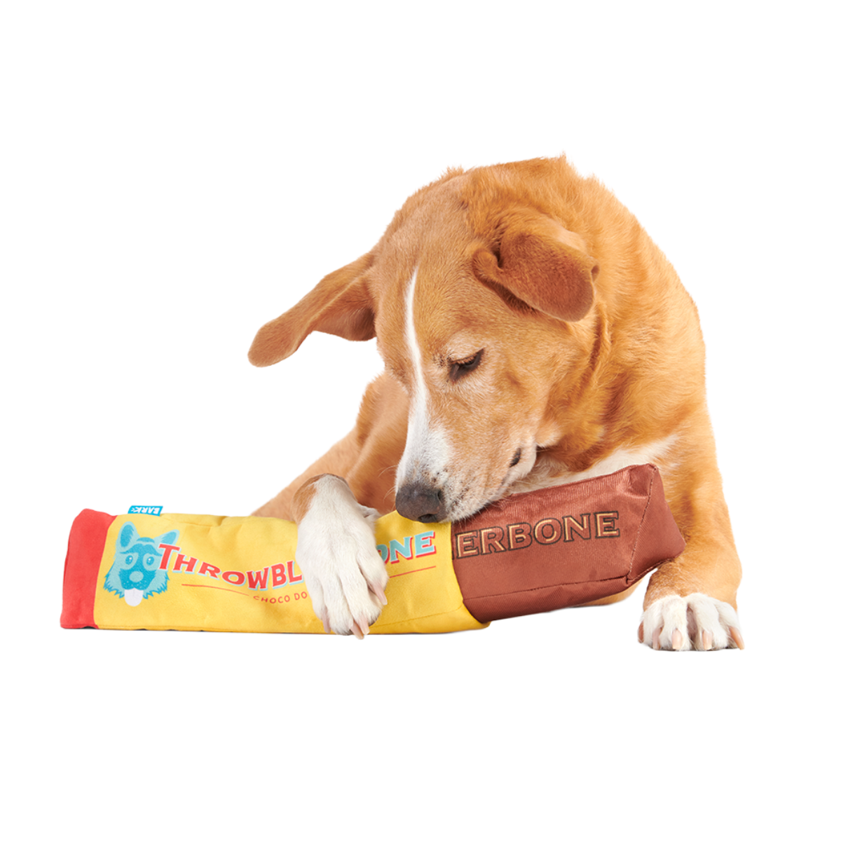 ThrowblerBone Plush Extra-Large Multi-Part + Enrichment Dog Toy