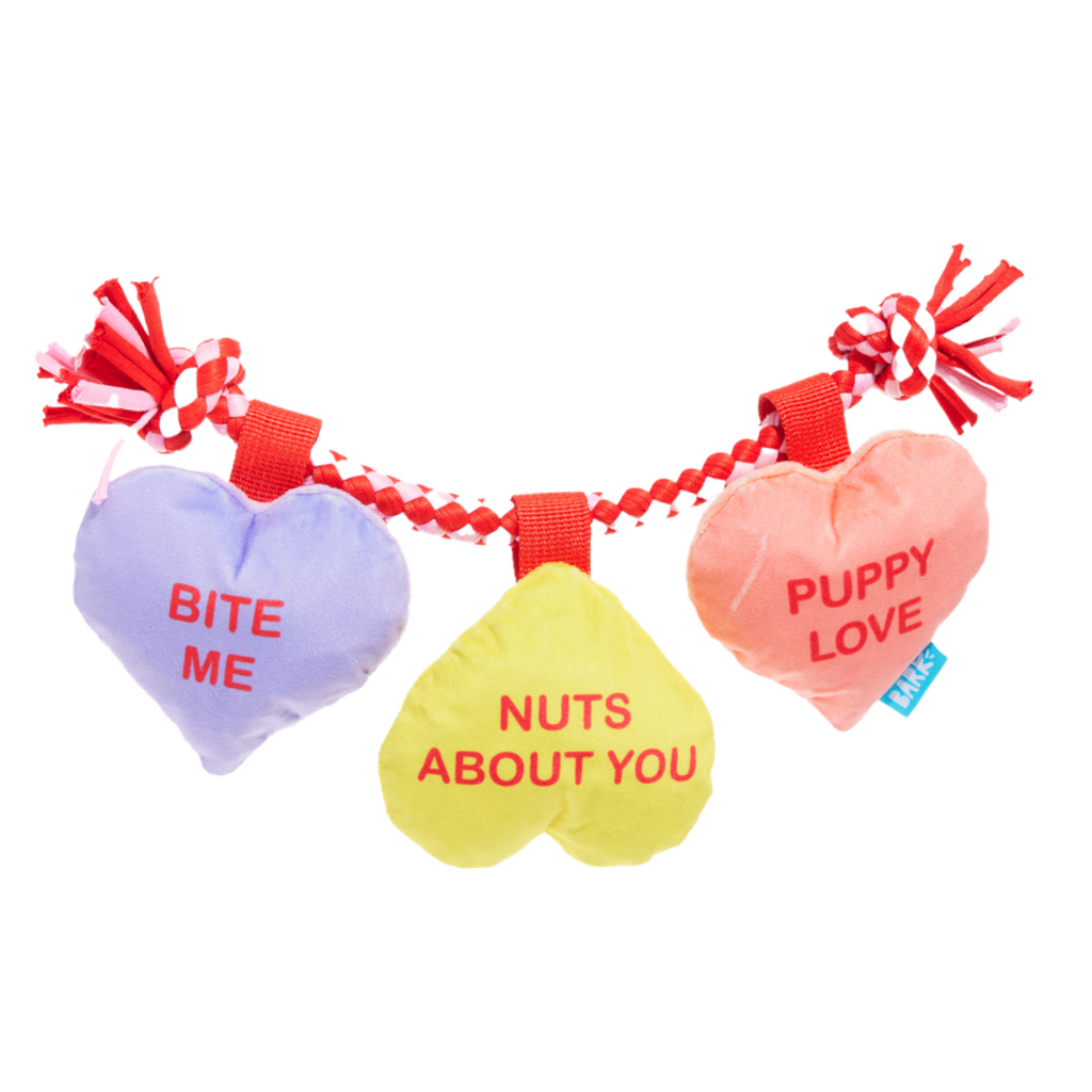 Tuggin' Heart Strings Plush Tug Dog Toy – BARK