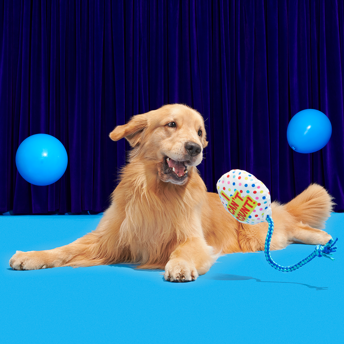 Birthday BarkBox (Toy-Only) - One Month Gift Box#Dog Size_Medium Dog