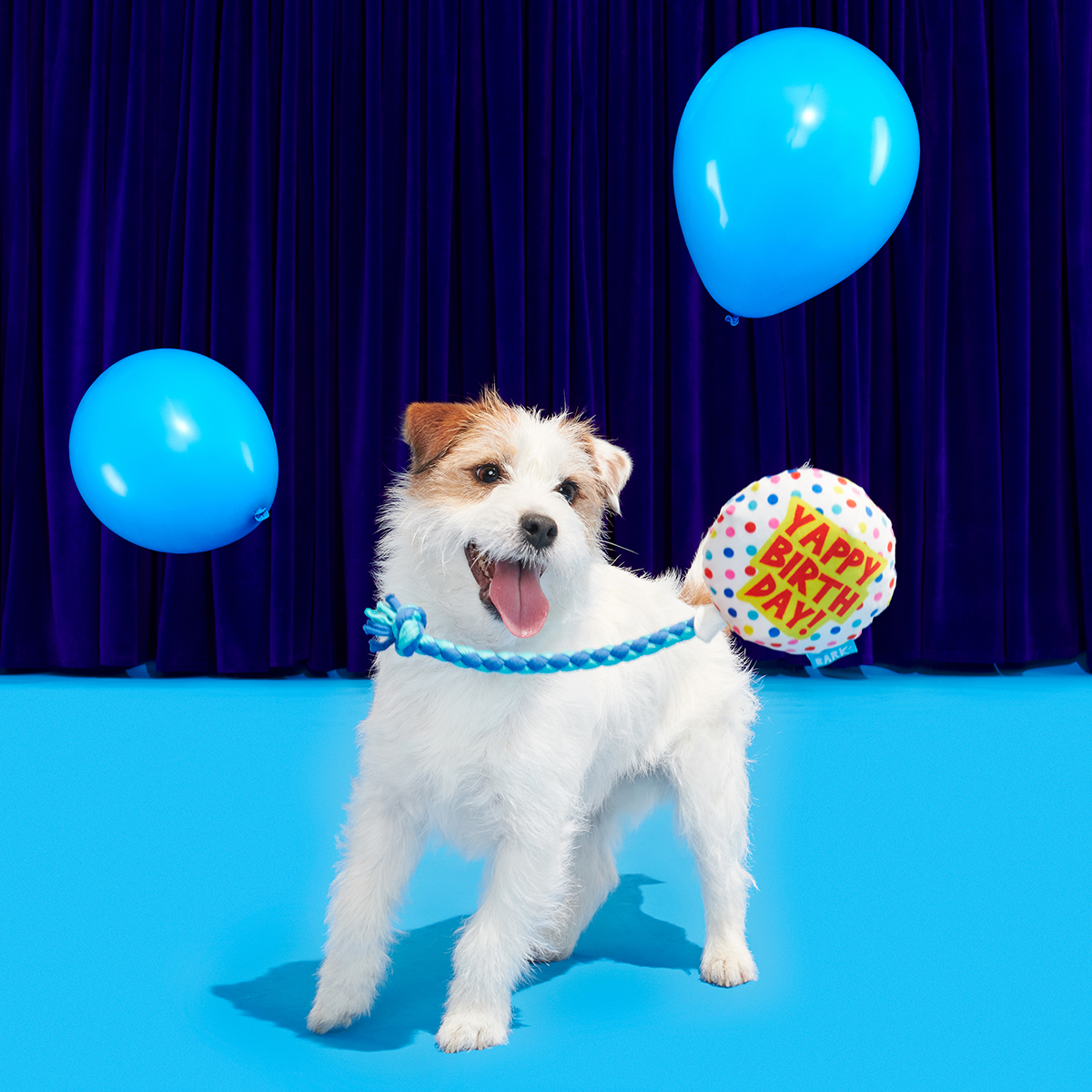 Birthday BarkBox (Toy-Only) - One Month Gift Box#Dog Size_Small Dog