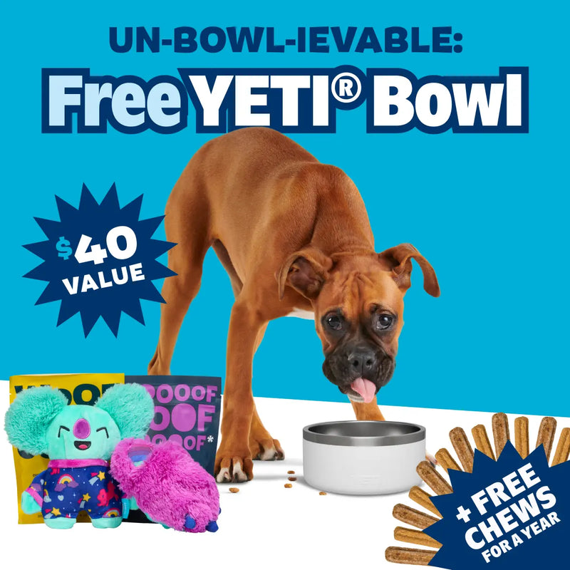 Dog Joy Delivered Every Month