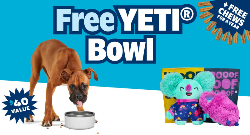 Dog Joy Delivered Every Month