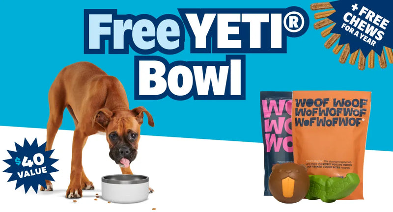 Tough Toys Delivered   Every Month