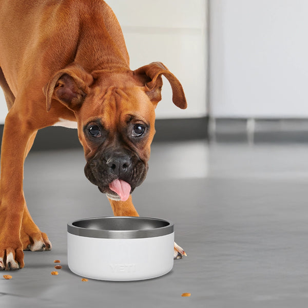 Treats, Toys & A FREE Yeti Bowl!