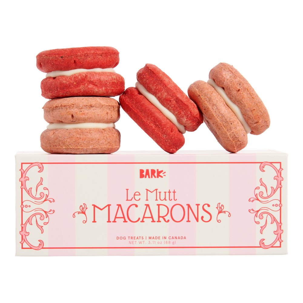 Le Mutt Macarons