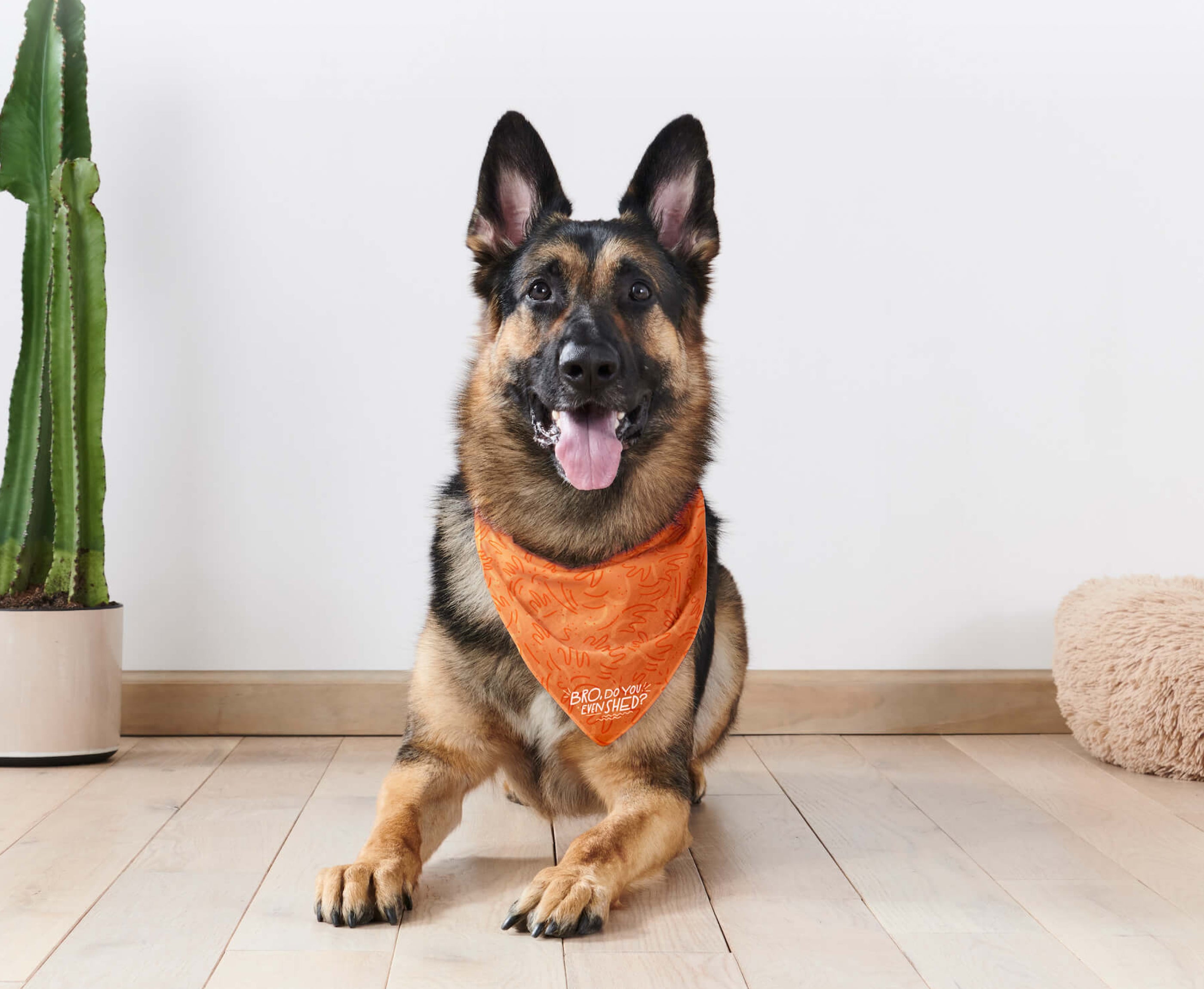 German sales shepherd bandana