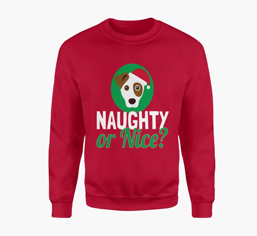Personalised Christmas Sweater: 'Naughty or Nice?'