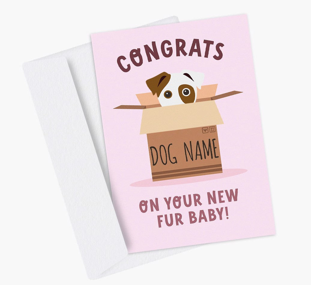 It's a Puppy Boy! Congratulations! » Pampered Paw Gifts