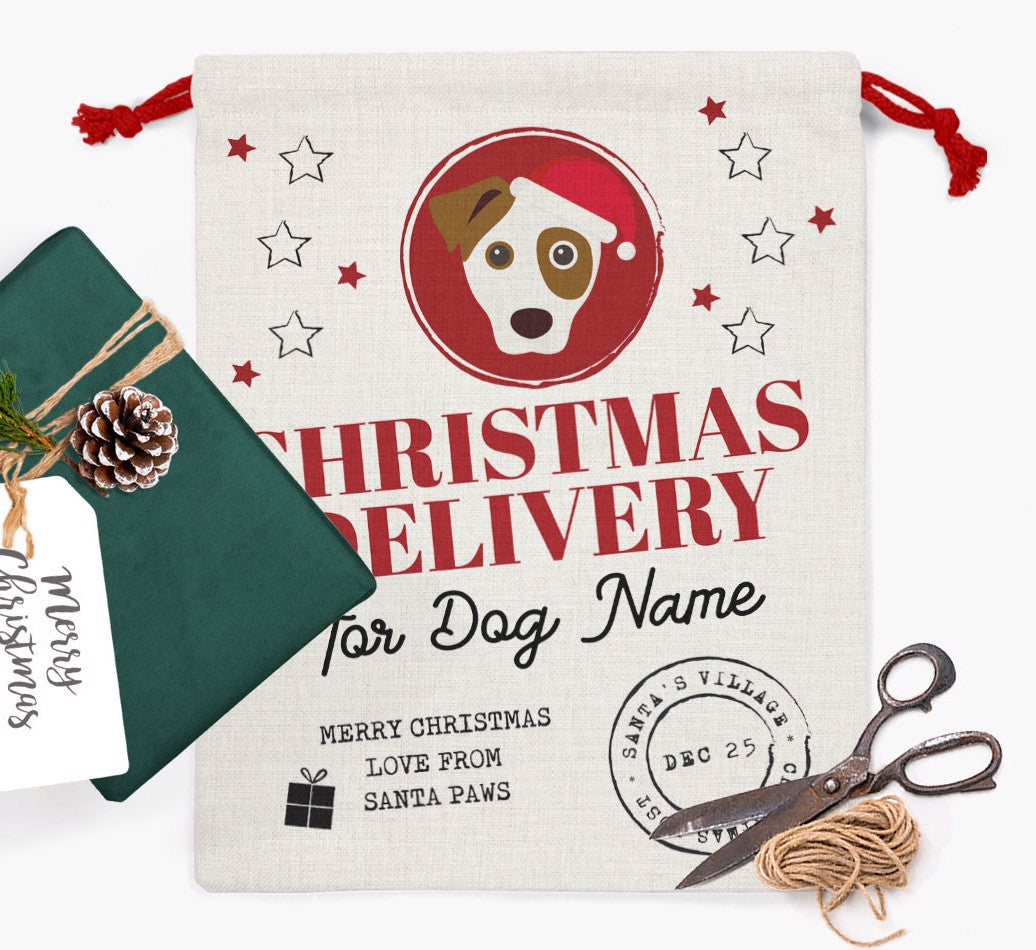 Personalized Santa Sack: Christmas Delivery