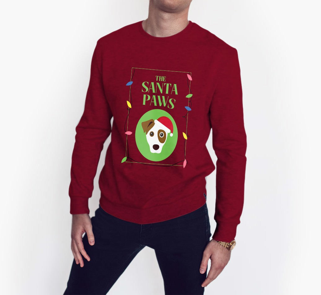 Santa paws christmas jumper sale