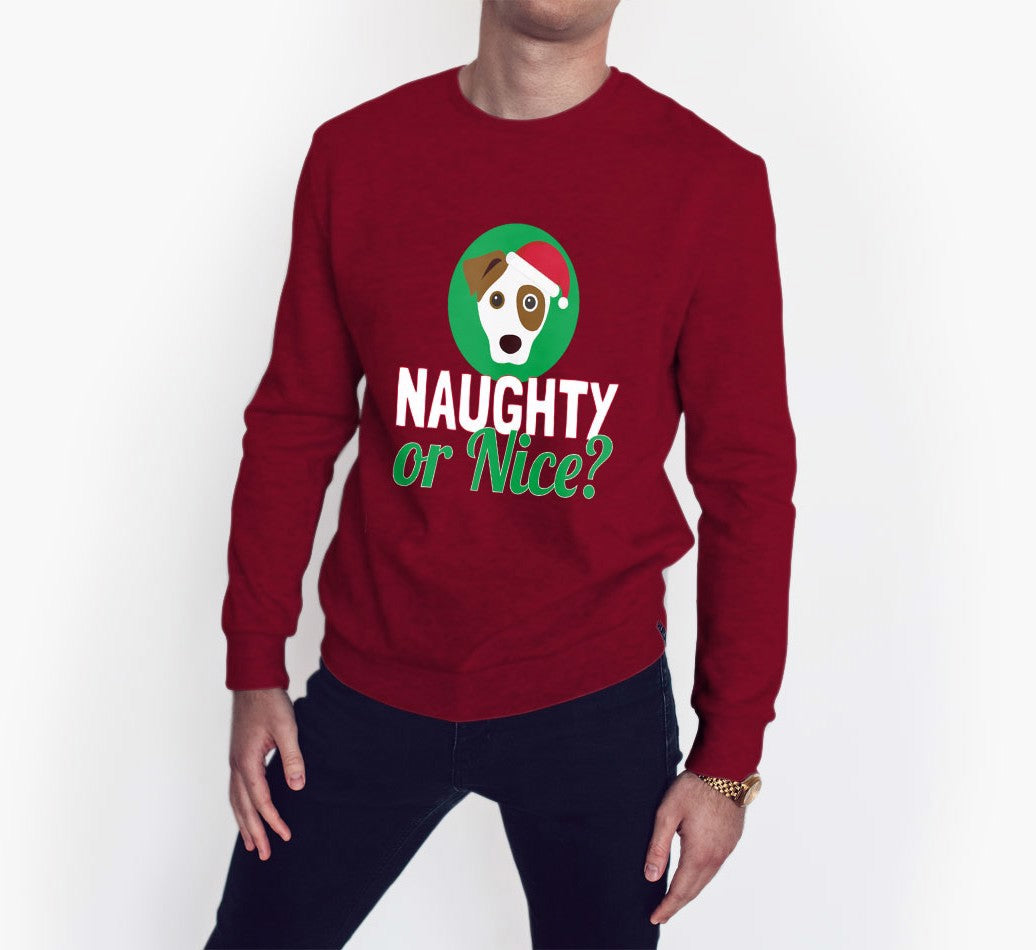 Personalised Christmas Sweater: 'Naughty or Nice?'