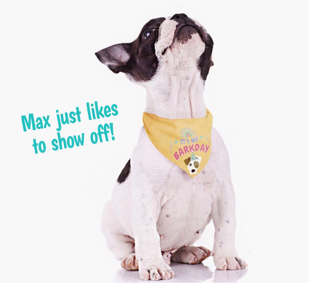 Personalised dog birthday bandana best sale